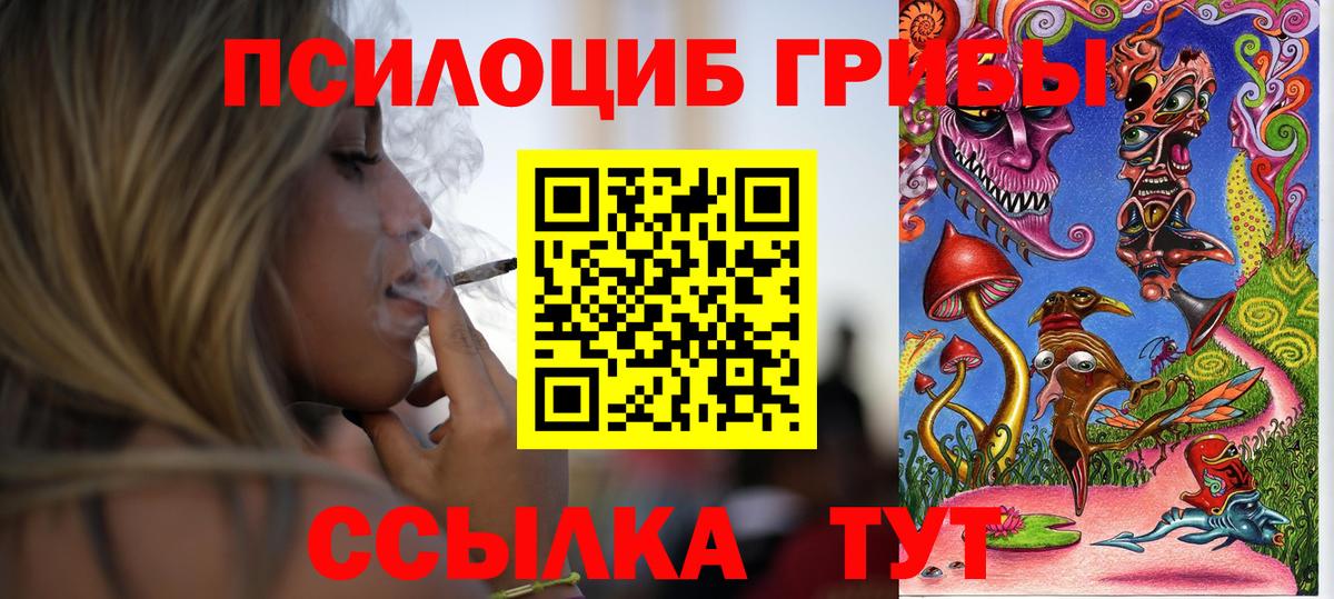 Полысаево  Псилоцибиновые грибы мухоморы  Вход с VPN 
