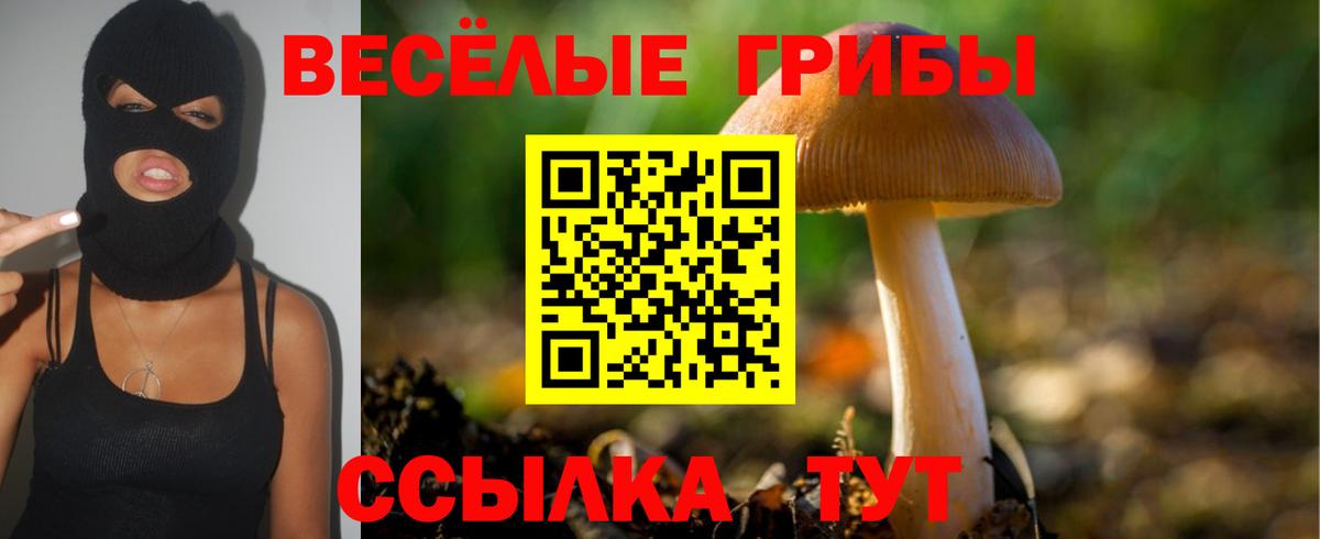 Псилоцибиновые грибы мухоморы Полысаево